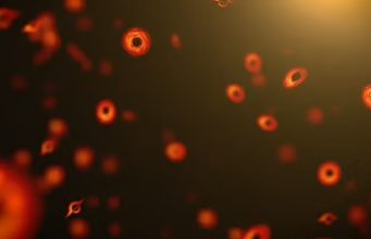 হকিংয়ের ভবিষ্যদ্বাণী কি সত্যি? কৃষ্ণগহ্বর বিস্ফোরণের প্রমাণ পেলেন বিজ্ঞানীরা